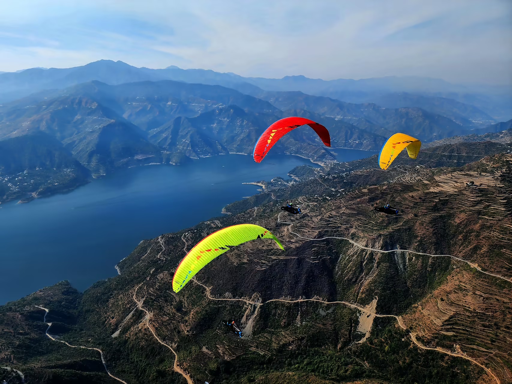 Paragliders